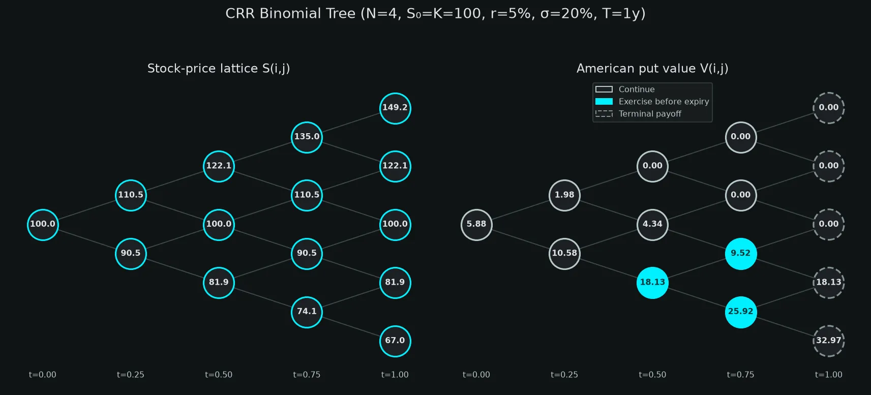 Four-step CRR binomial tree. The left panel shows stock prices. The right panel distinguishes continuation nodes, pre-expiry exercise nodes, and terminal payoff nodes.