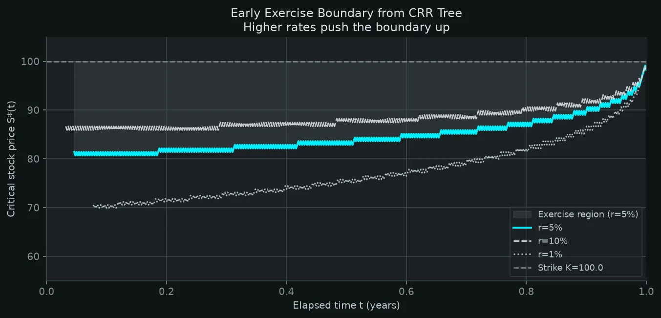Free exercise boundary extracted from a CRR tree against elapsed time at three interest rates. The boundary rises toward K as maturity approaches, and higher rates produce a larger exercise region.